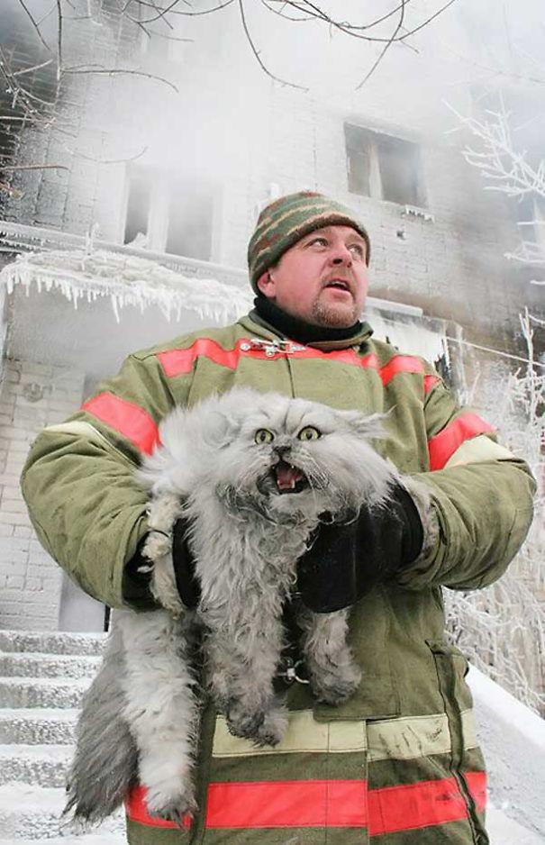 Krievijas ugunsdzēsējs izglāba... Autors: EV1TA 95% sieviešu raud, apskatot šīs bildes.