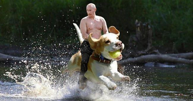  Autors: awesomeguy Putins savā elementā.