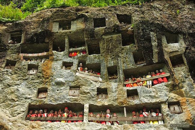 Akmens kalna grava kura tiek... Autors: Fosilija Apbedīšanas rituāli Tana Toraja ciematā