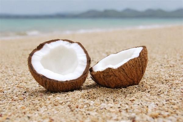 nbspKokosrieksts var ilgi... Autors: kokosriekts 6 fakti par kokosu