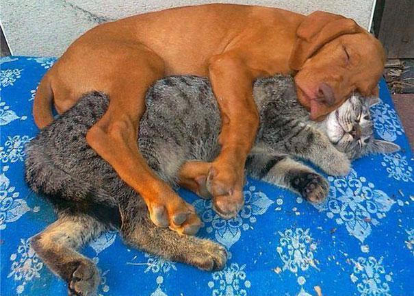  Autors: matilde Nekad neticēsi, ka viņi gulēja kopā!