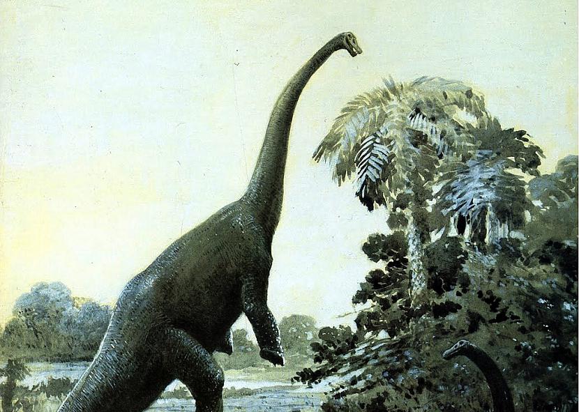 Dinozauri biescaroni vien... Autors: Kapteinis Cerība Fakti par Dinozauriem 2. daļa.