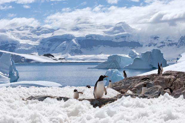 Mazāk par 1 Antarktika ir... Autors: PartyFreak2013 25 aizraujoši fakti!