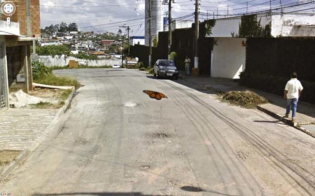 Skaisti Tauriņscaron nosēdies... Autors: Zutēns Google Maps LABĀKIE ķērieni!!!
