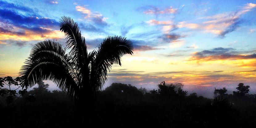 Saullēkts lietusmežā Autors: Fosilija Daba tropiskajos lietusmežos.