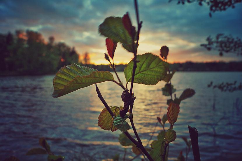 Langstiņu ezers Autors: Pariks Mobilā Fotogrāfija (3) - Kamera