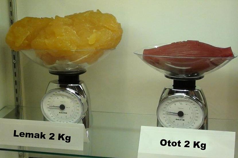 Tā izskatas 2 kg tauku un 2kg... Autors: BecouseItsLove 17 retas fotogrāfijas, kuras, visticamāk, tu neesi redzējis