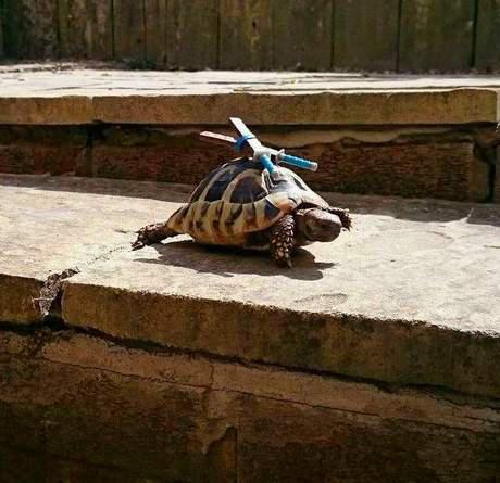  Autors: rukšukskrienam Pusdienlaikam:)