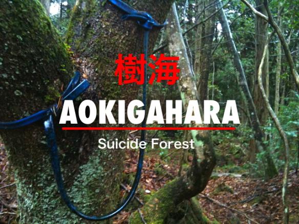 Mežs galvenokārt sastāv no... Autors: MasveidaSlepkava Aokigahara jeb Pašnāvnieku mežs.