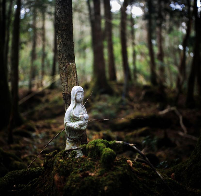 Scarono figūriņu atstāja kāds... Autors: MasveidaSlepkava Aokigahara jeb Pašnāvnieku mežs.