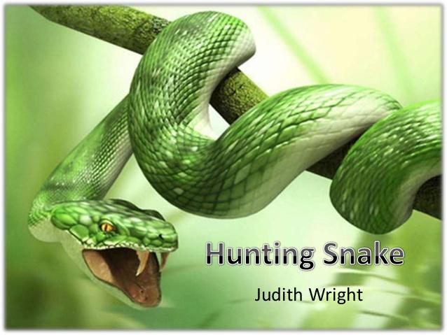 Mīts numur pieci  čūskas medī... Autors: SpyL Populārākie mīti un patiesība par čūskām