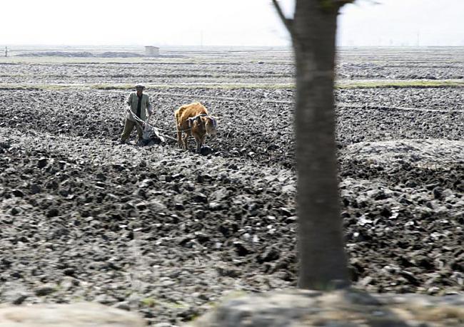 Lauksaimniecības bēdīgākais... Autors: Laitinen Kadri no Ziemeļkorejas.