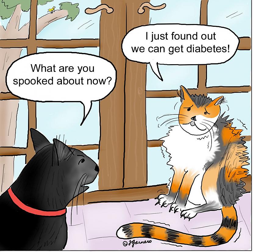 Mūsdienās scaronī slimība sāk... Autors: im mad cuz u bad Ne tikai cilvēkiem, bet arī kaķiem var būt cukura diabēts