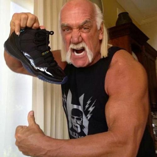 Hulk HoganIeliec scarono lietu... Autors: Trakais Jēgers 15 slavenības, par kuru SEKSA VIDEO tu nezināji