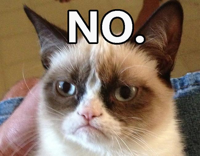 Otrais kaķu Tips GRUMPY CAT... Autors: Lapsene991 8 Kaķu Tipi