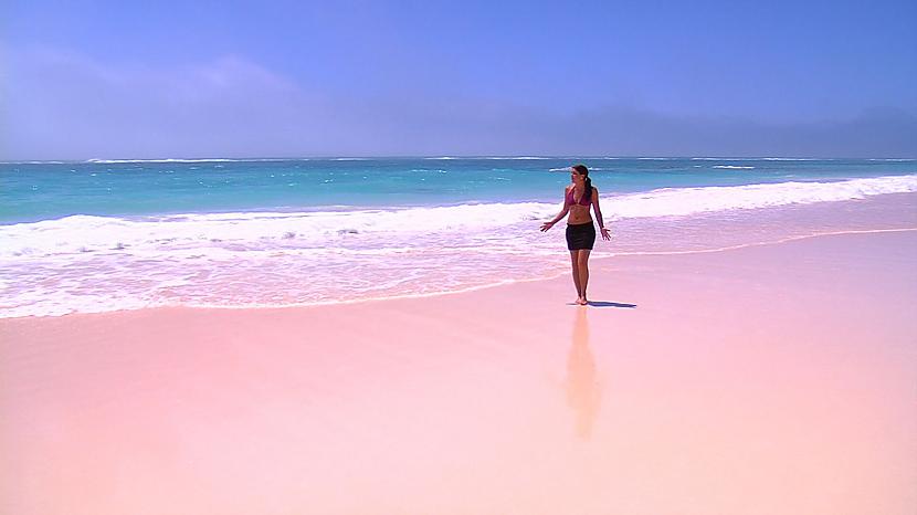 2 Rozā pludmale Pink Beach... Autors: im mad cuz u bad Pasaules neparastākās pludmales
