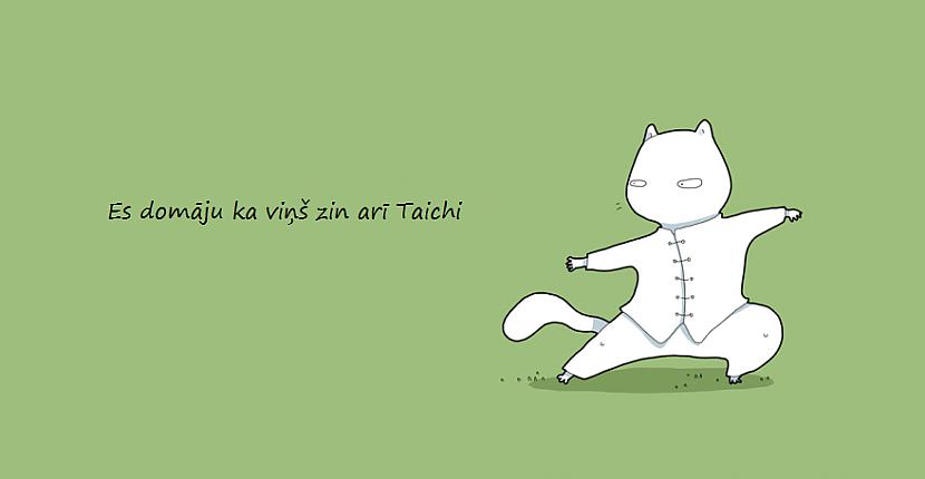 Es pat nezinu kas ir Taichi jo... Autors: Šķiedra Ko dara lielākums pasaules kaķu kad jūtas skumji?