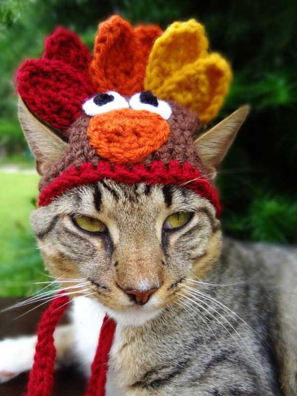  Autors: Fosilija Kaķi ar cepurēm!