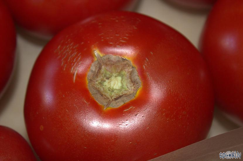 Ejam uz siltumīcu pēc tomātiem Autors: Werkis2 Ar Omleti pildīti tomāti