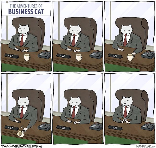  Autors: labaiscilveks the adventures of business cat