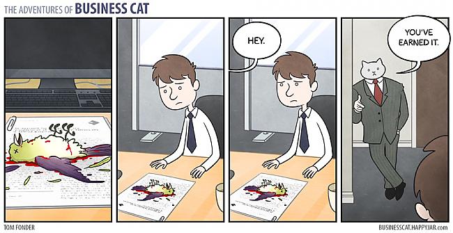  Autors: labaiscilveks the adventures of business cat