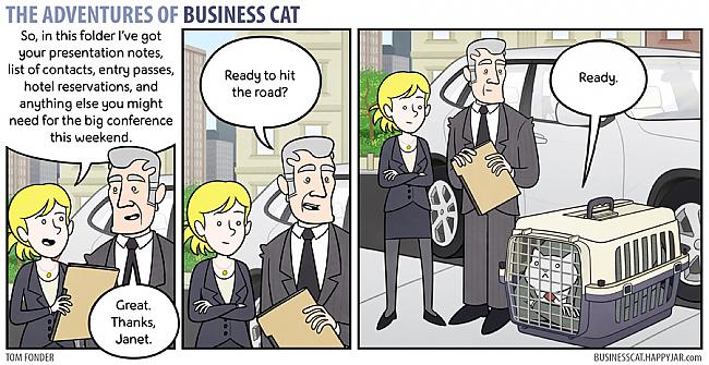  Autors: labaiscilveks the adventures of business cat