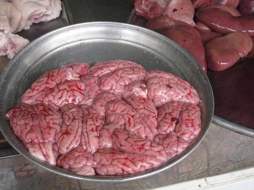 Mērkaķu smadzenes ir iecienīts... Autors: im mad cuz u bad Pasaulē bīstāmākie ēdieni