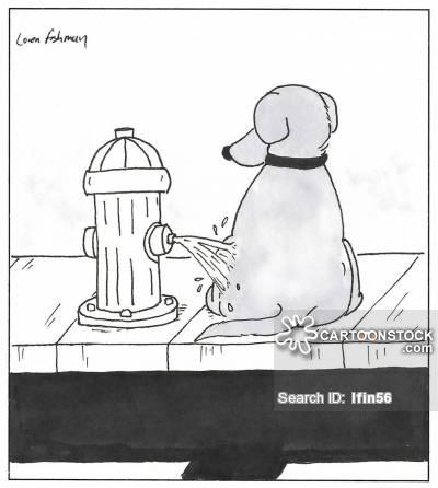 Fire hydrant peeing on a dog Autors: ArmandsT1 Nedaudz citādākas bildes 5