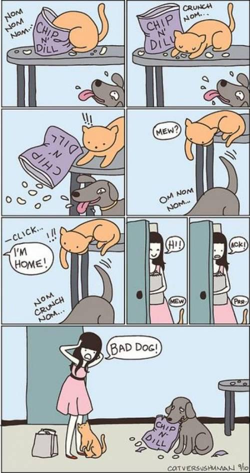  Autors:  Kaķītis  Komiksi ar kaķiem!
