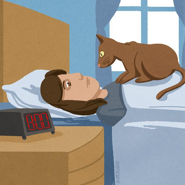 Jums vairs nevajadzēs... Autors: MonaLisa. Kā izmainīsies tava dzīve kad mājās ienāks kaķis.