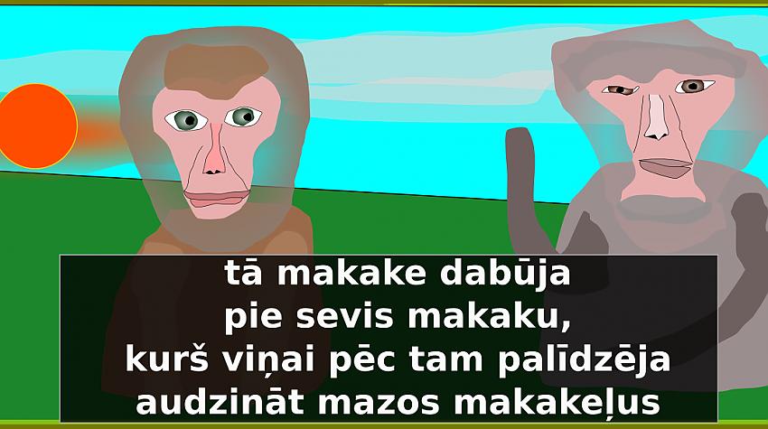 Makaks un makaka