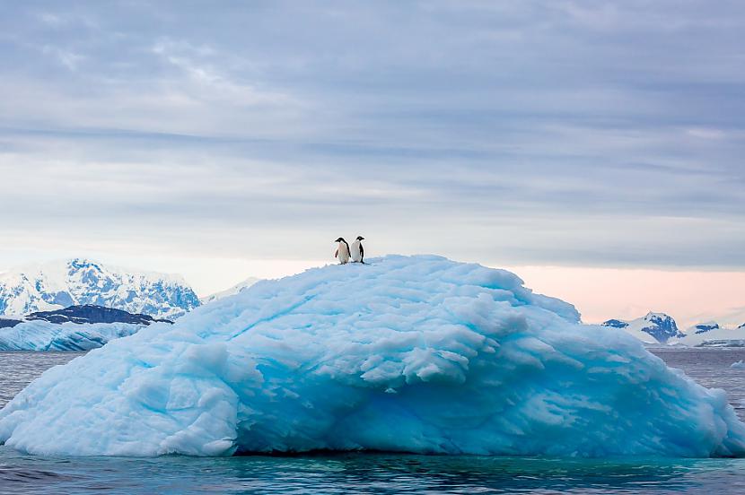 Pa labi vai pa kreisi Autors: ilvuciss 25 labākās National Geographic 2015 bildes!