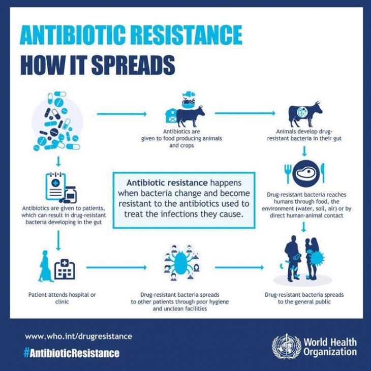  Autors: kicebayinboxlv Antibiotiku rezistence ir «lielākais globālais drauds» veselībai.