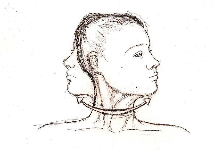 Ja galva pārvietojas lineāri... Autors: dekiz Vai līdzsvara maņa atrodas mūsu ausīs?