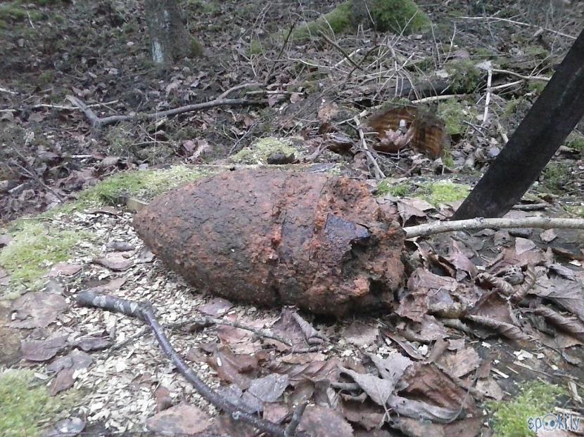 Tas jau ir ārpus parka... Autors: Fosilija Pilsblīdene...