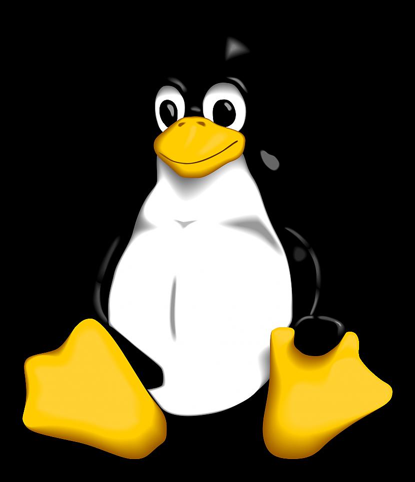 linex talismans ir pingvins ja... Autors: rizhais420 Kāpēc Linux ir labāks par Windows