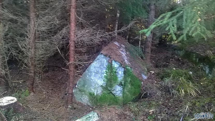 Ja teiktu ka meži ir akmeņu... Autors: kapuracējs Meža veči Zviedrijā,jeb,mans skatījums uz Zviedriju.