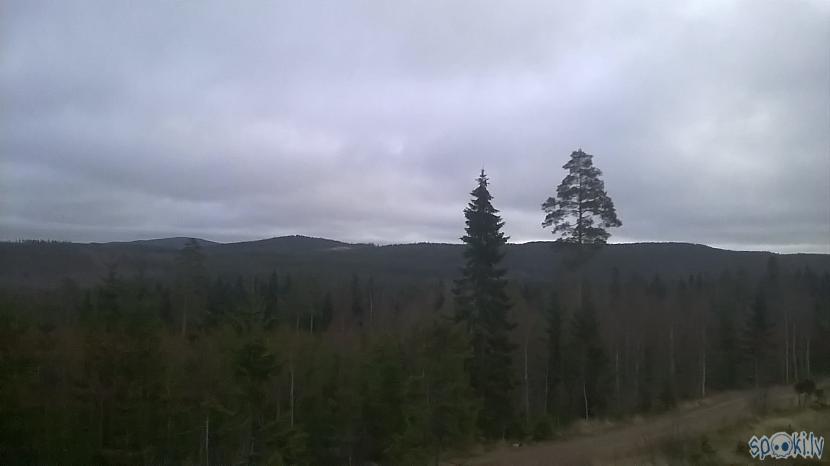  Autors: kapuracējs Meža veči Zviedrijā,jeb,mans skatījums uz Zviedriju.