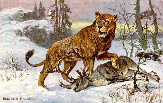 Lauvas apdzīvoja Eiropu līdz... Autors: PatiesiAnonims Vēsturiski fakti (10)