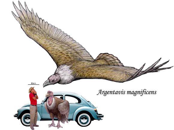 Ar spārnu platumu 82m galvas... Autors: Agresīvais hakeris Lielākie jebkad eksistējušie dzīvnieki!