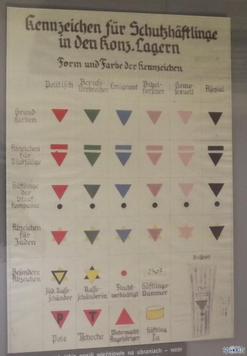 Scaronis bija paterns pēc kā... Autors: Fosilija Es tur biju, es to redzēju - Aušvices koncentrācijas nometne Birkenau #2