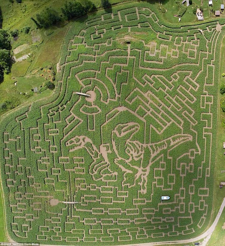 ASV Lielais Vermont kukuruuzas... Autors: ezkins Labirinti, labirinti...
