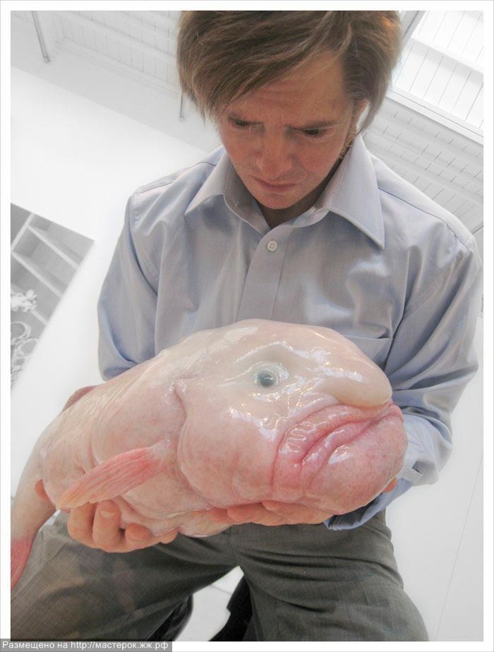 Blobfish nbspnbspPsychrolutes... Autors: Bezvārdis Pasaules pretīgākie dzīvnieki