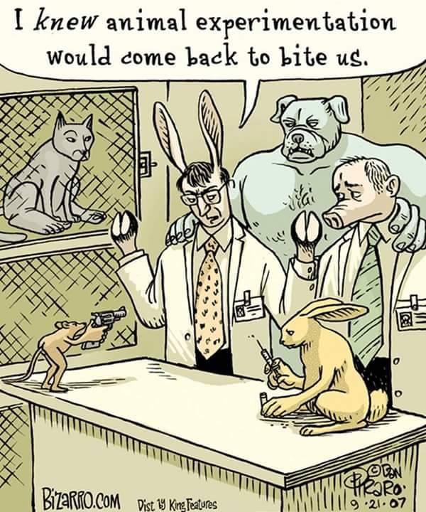  Autors: Lil Teemo Ja dzīvnieki būtu cilvēki un otrādāk (Karikatūras)
