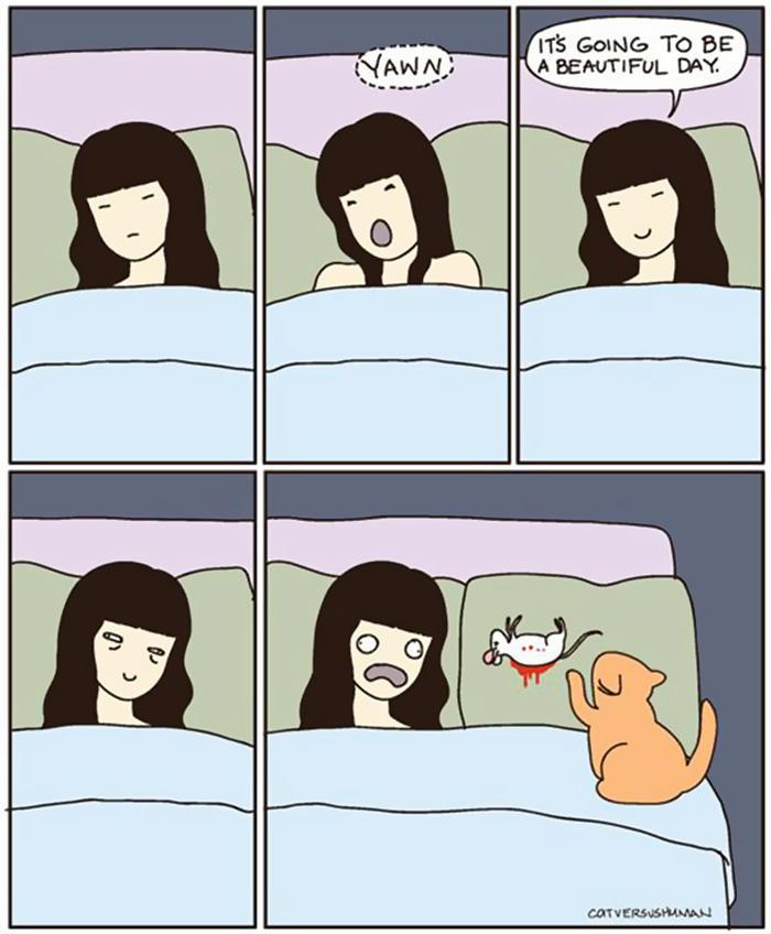  Autors: KALENS Smieklīgi komiksi, kuri atklāj kā ir dzīvot pie kaķa!