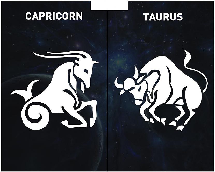 MEŽĀZIS  VĒRSISScaroniem ir... Autors: kaķūns Zodiaka zīmes, no kurām veidojas perfekti pāri!