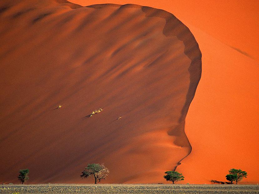 Namib tuksnesis... Autors: Aiiva Vai Tu gribētu šeit pabūt...?