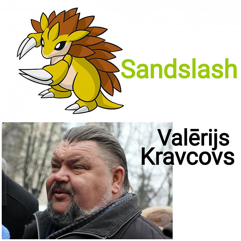  Sandslash ir zemes pokemons... Autors: ghost07 Pokemoni vs Latvijas politiķi (salīdzinājums)