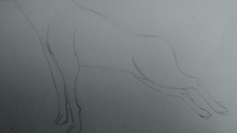 Uzzīmējam priekscaronējās un... Autors: Baibiņa2002 Kā es zīmēju suni #2