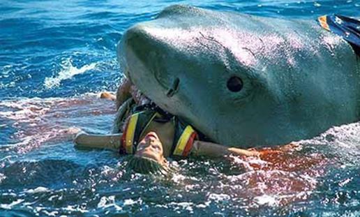 Misters Haizivs 20 upuri  Jaws... Autors: Testu vecis Asiņainākie kino ļaundari pēc upuru skaita